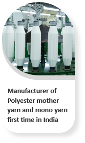 Manufacturer Of Polyester Mother Yarn - Key Milestone